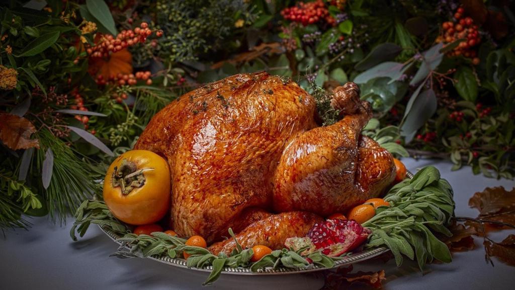 Pavo de Acción de Gracias.