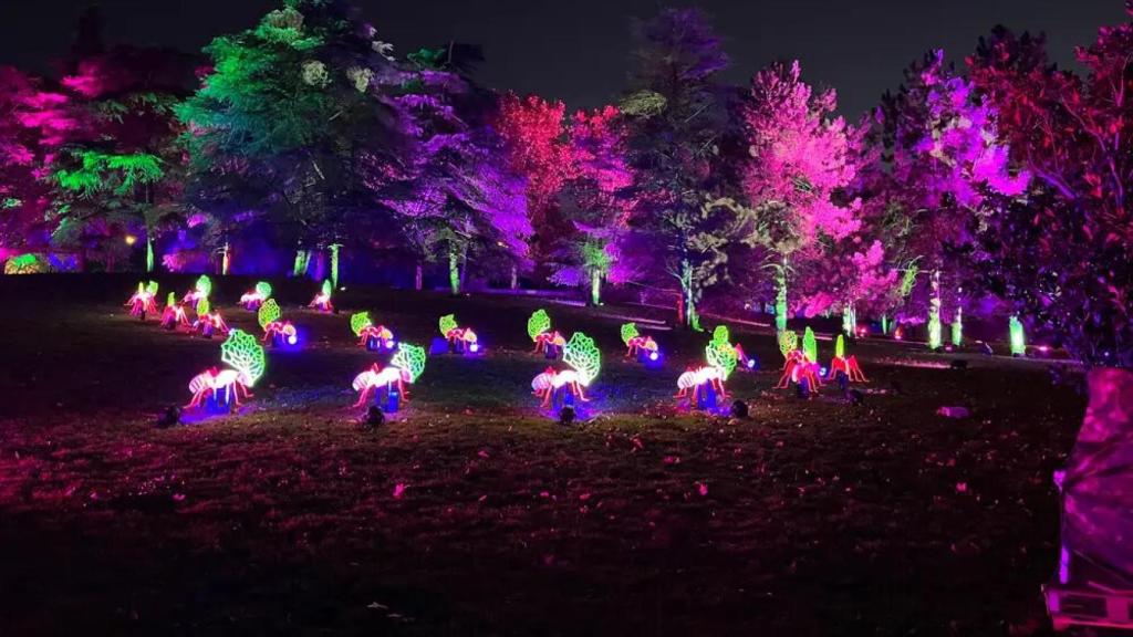 Conoce Naturaleza Encendida: uno de los espectáculos de luces más esperados de la Navidad en Madrid.