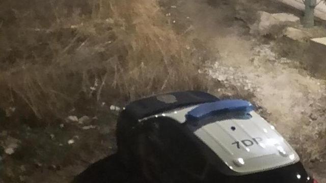 El coche policial que acudió al aviso en Fuengirola.