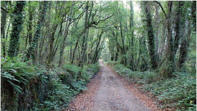 Imagen de la Ruta Arqueológica do Acevedo en Lugo