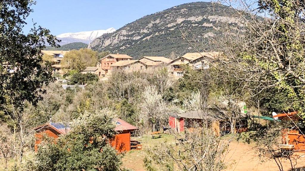 Vista de la localidad de Caneto con las cabañas de la escuela O Chinebro en primera línea.