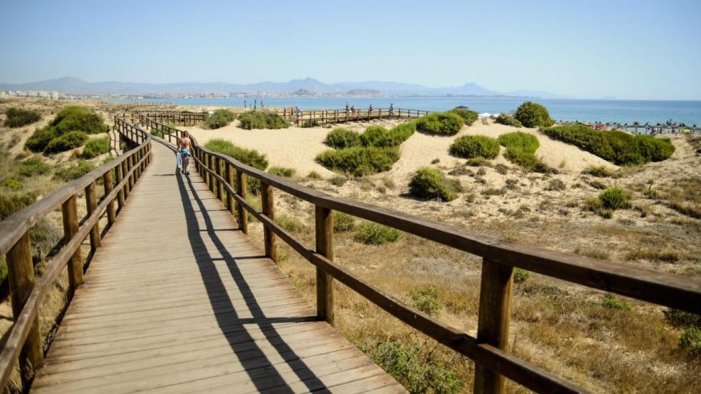 Una playa natural de Elche.