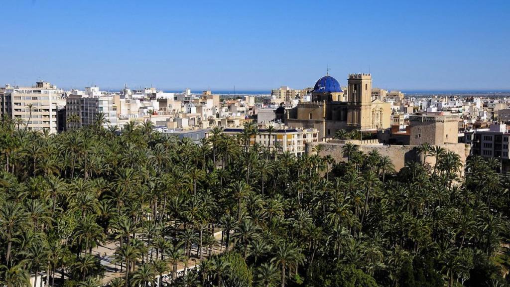 Palmeral de Elche.