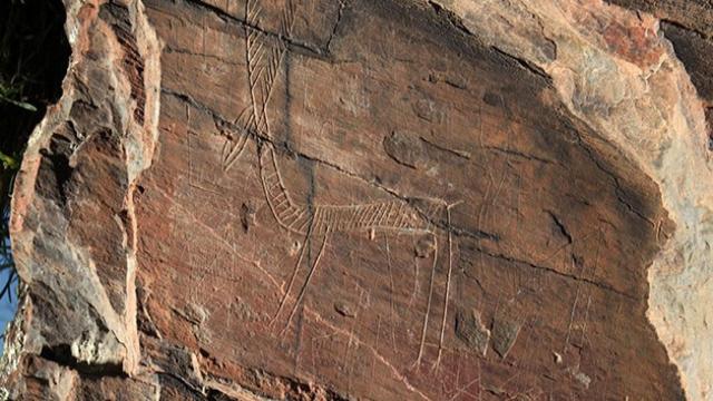 Grabados rupestres de Arroyo de las Almas en La Fregeneda