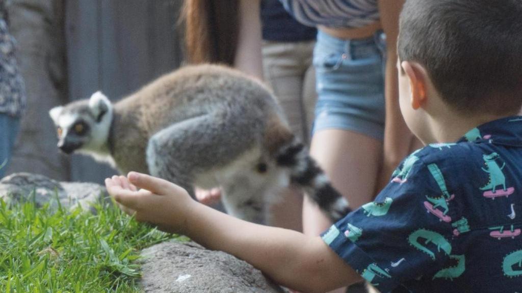 BIOPARC Fuengirola.