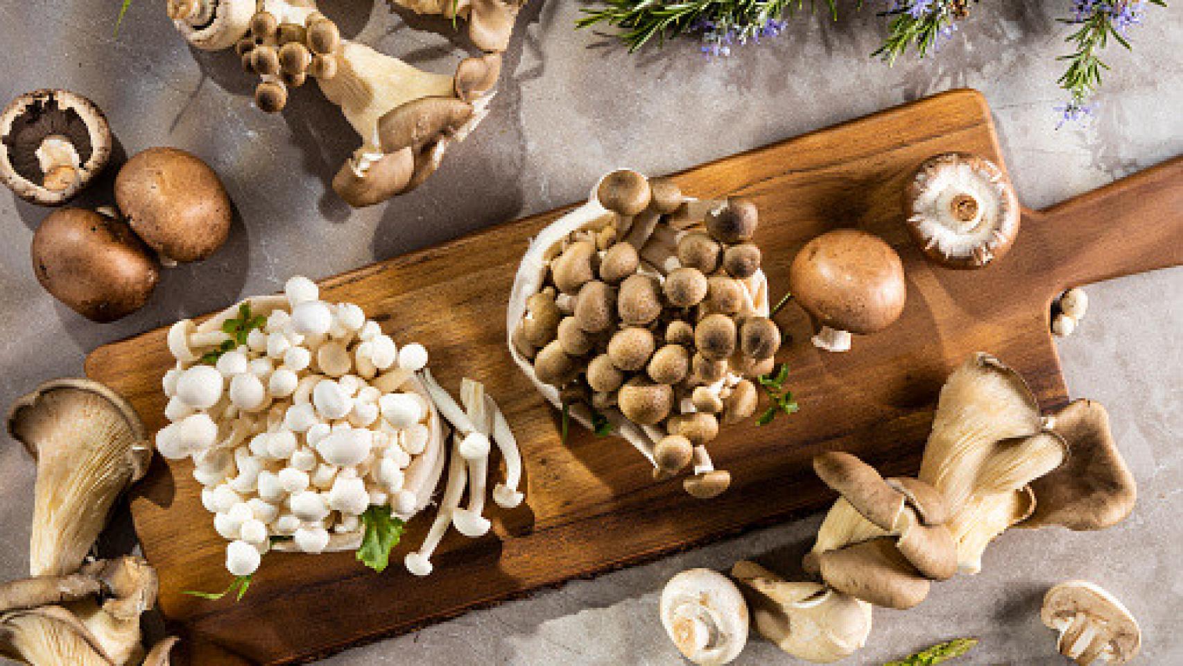 Las setas son un producto de otoño beneficiosas