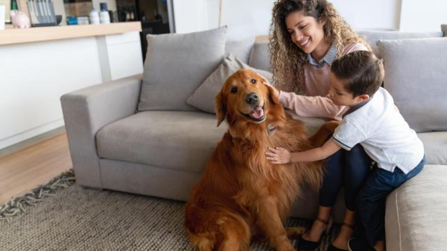 Imagen de una familia con su perro