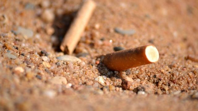 La encuesta determina que hay una mayoría que pide la prohibición de fumar en la playas.