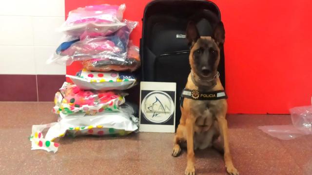 Kata, con el alijo encontrado este sábado en la estación de Alicante.