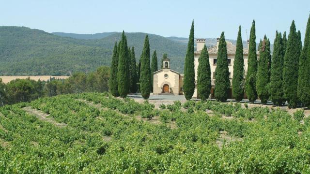 Señorío de Sarría celebra su 70 aniversario con un excelente Reserva Especial