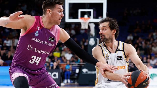 Sergio Llull, ante el MoraBanc Andorra.