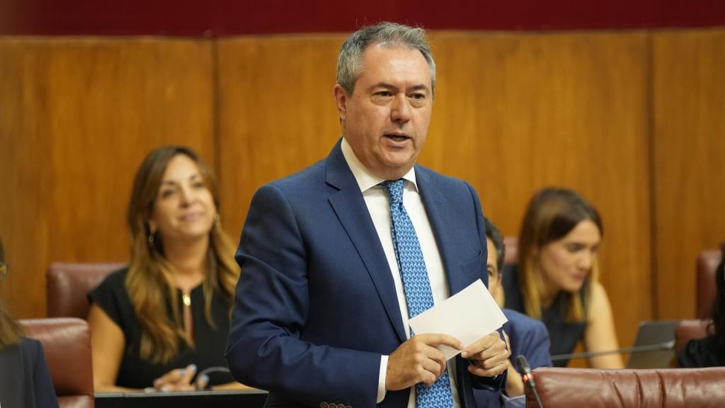 El portavoz del PSOE en el Senado, Juan Espadas.