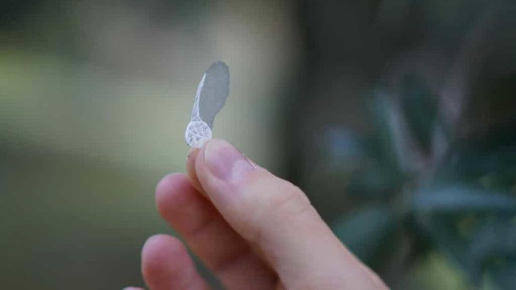 Acer i-Seed