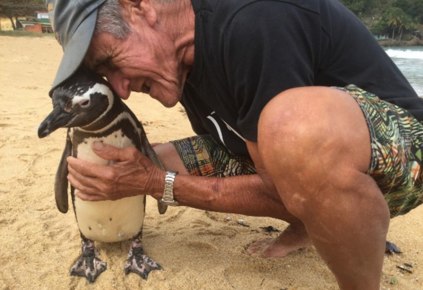 El pingüino DinDim con su salvador.