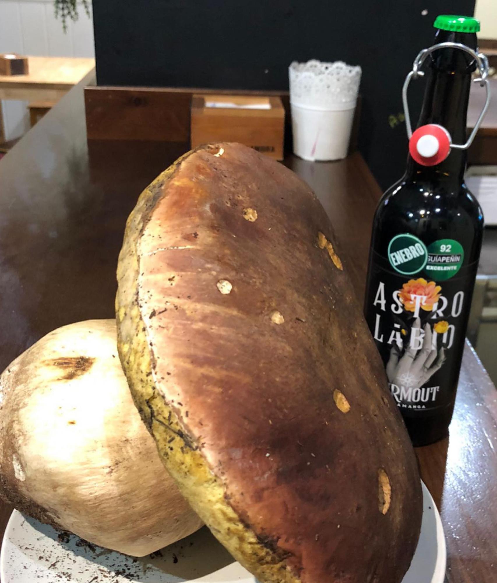 Boletus de 2,6 kilos