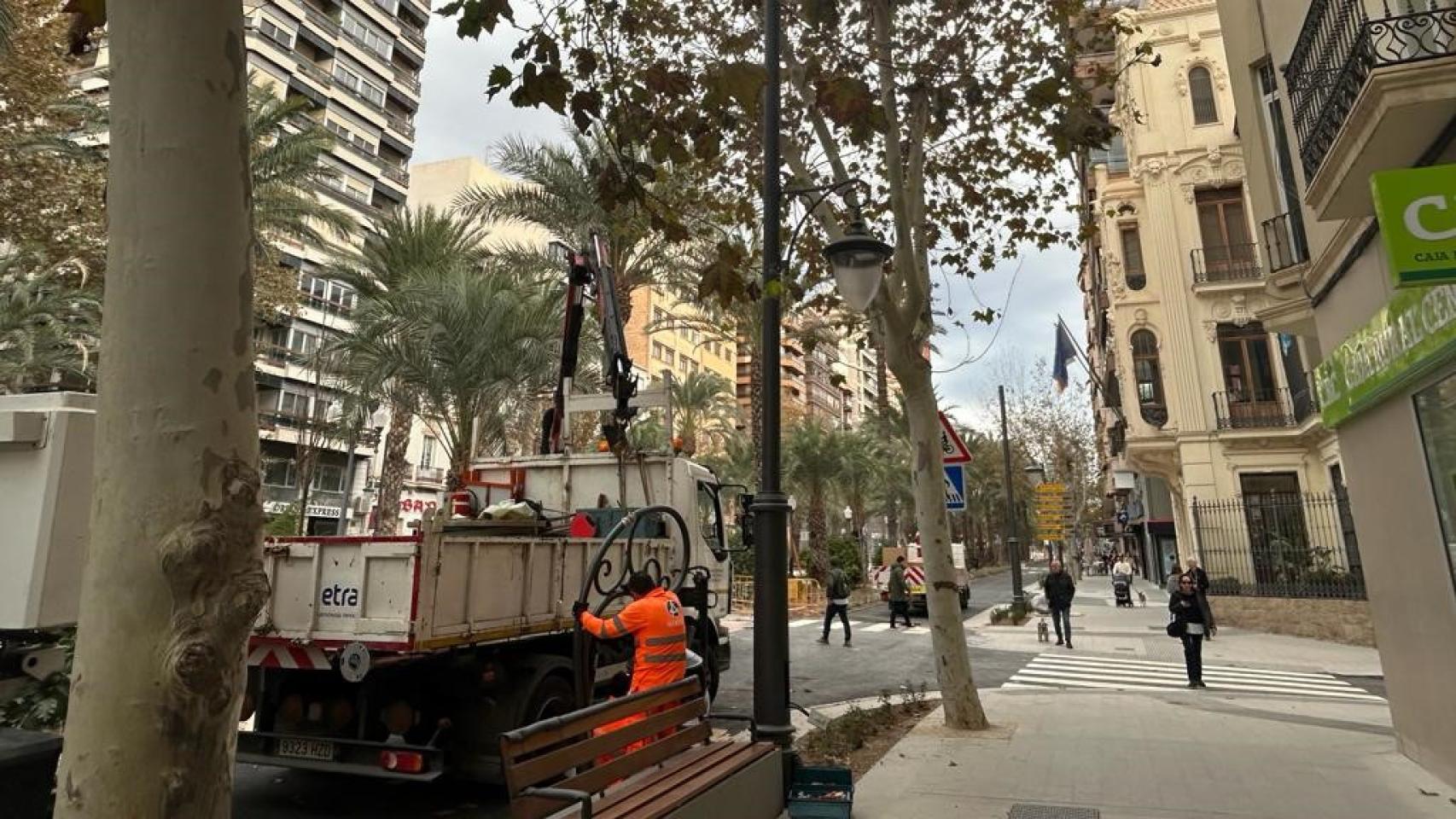 Siguen en marcha las obras de renovación del alumbrado en la avenida.