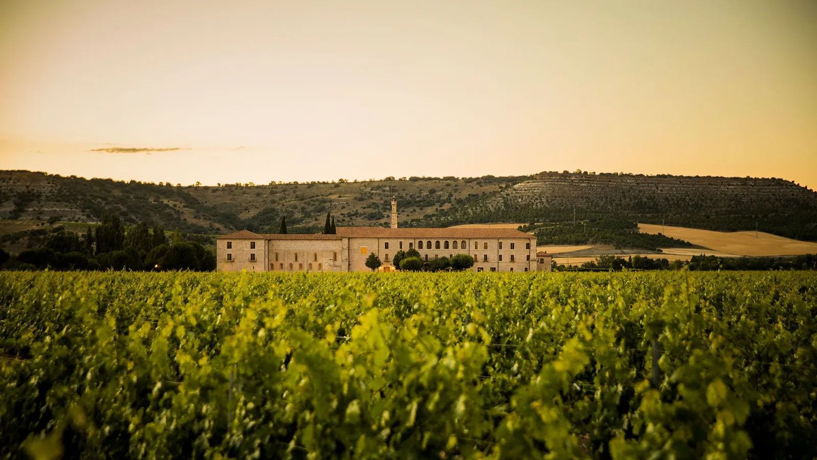 Abadia Retuerta