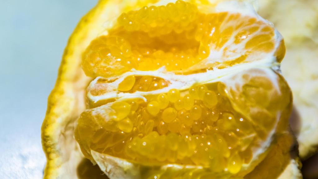 Una naranja pelada y abierta.