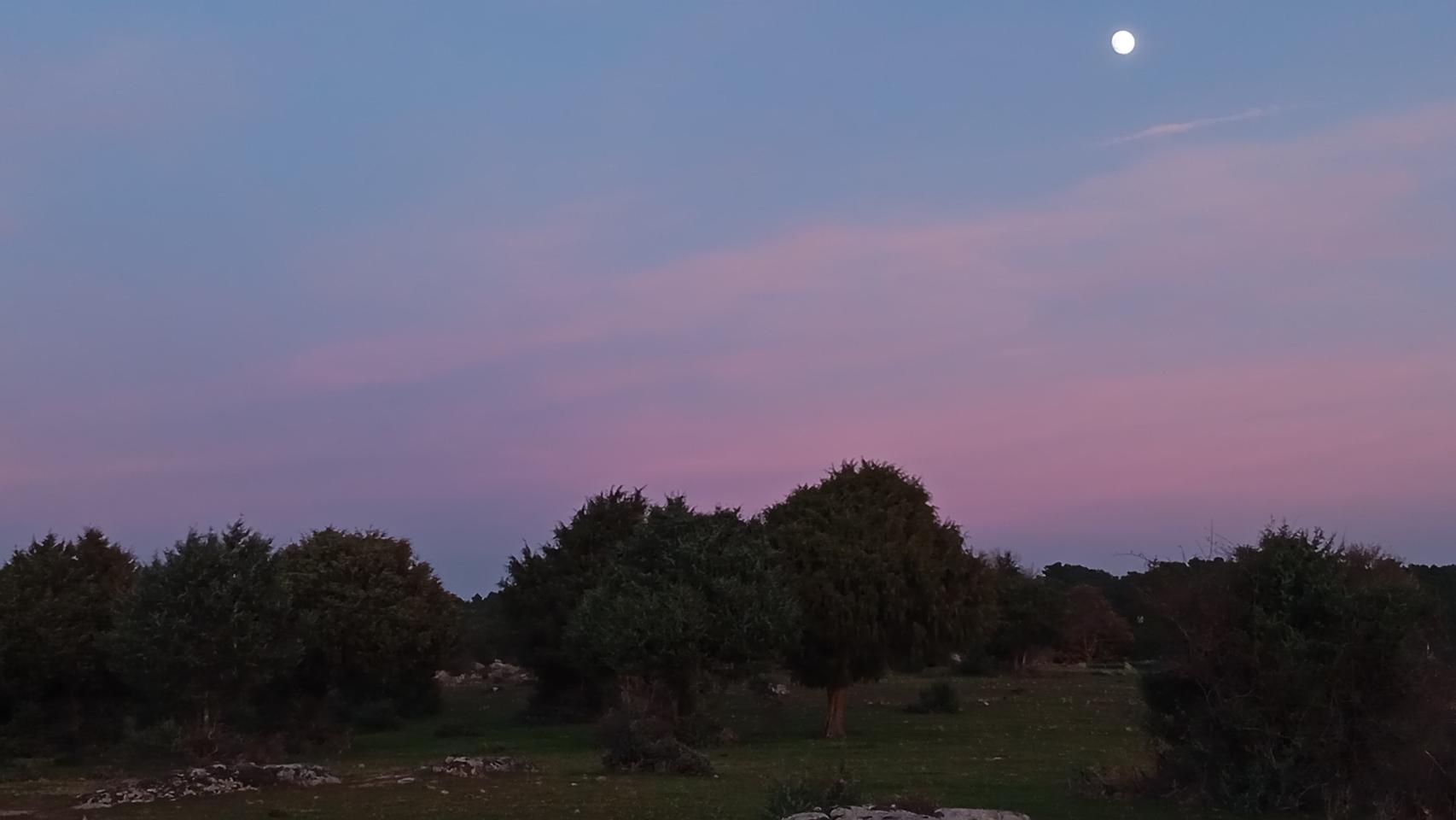 Fotografías tomadas por el POCO C65