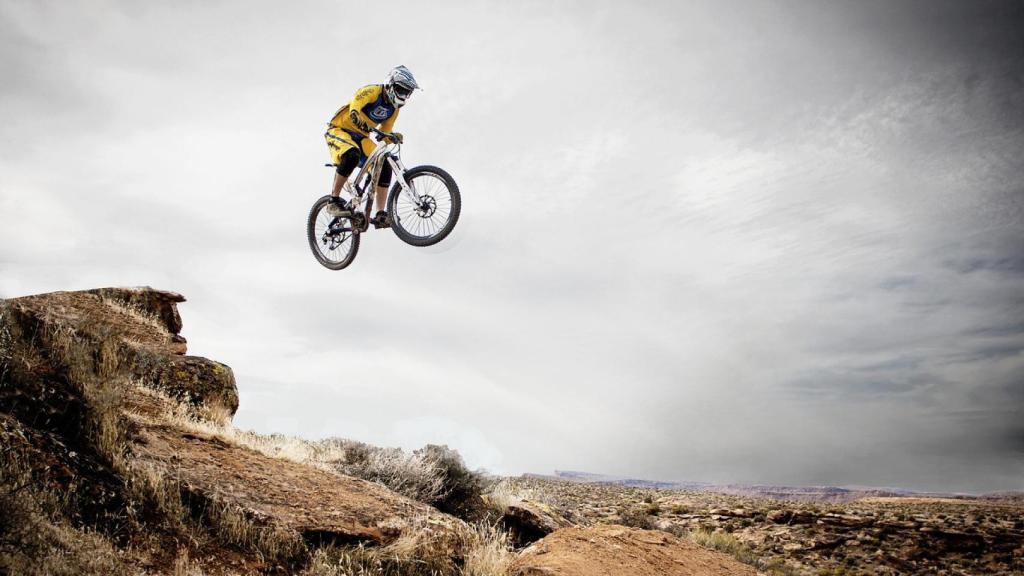 Mountain bike