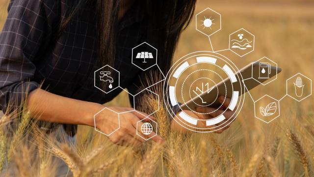 Así es el simulador de Eurocaja Rural que ayuda a tramitar la PAC