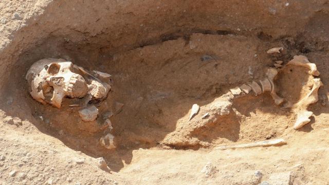 Fotografía de la nueva tumba descubierta