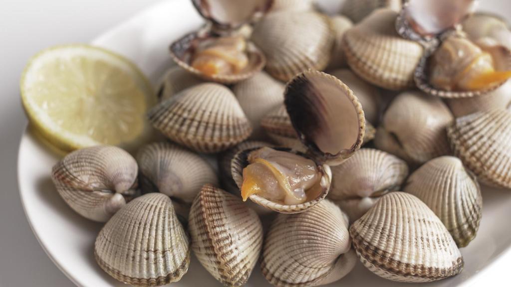 El berberecho es una de las especies más amenazadas en las costas de Galicia