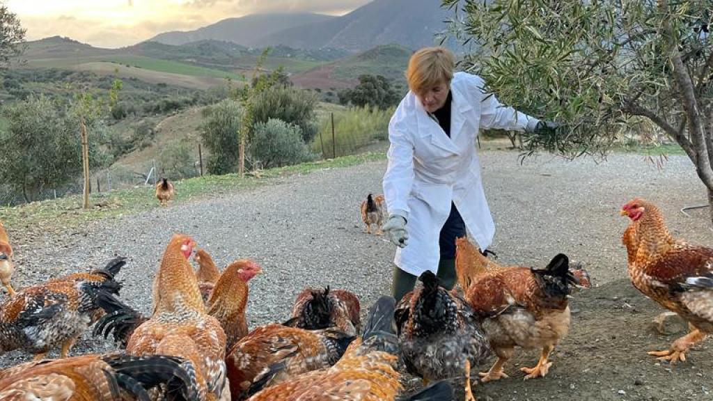 Marisa, con los escasos capones que les quedan por vender para estas navidades.