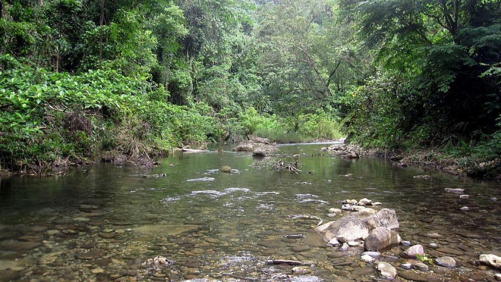 Rio de Guadalcanal, islas Salomón