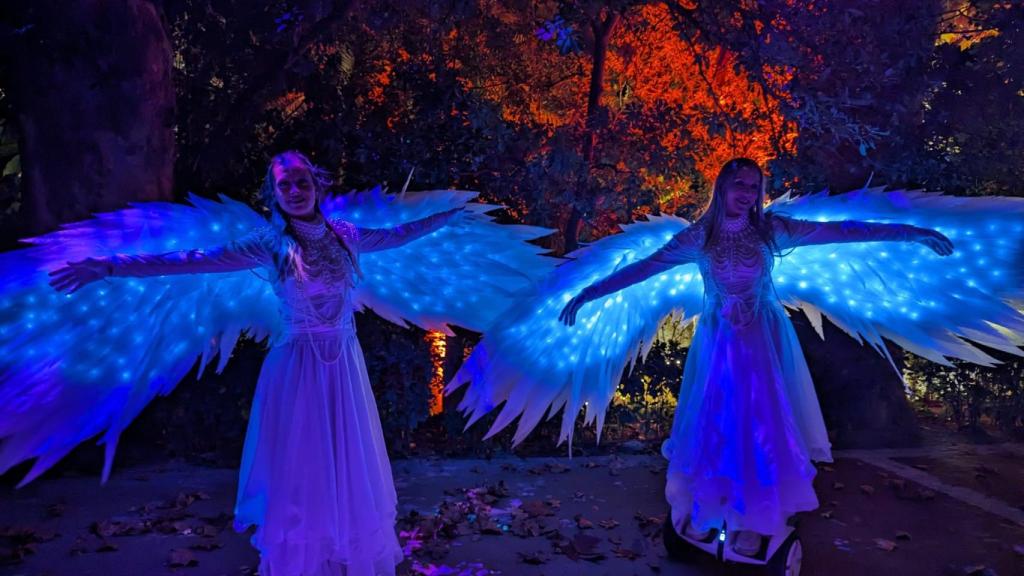 Así es el nuevo espectáculo de luz y sonido del Jardín Botánico de la Concepción de Málaga.