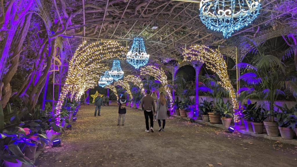 Imagen del espectáculo de luz y sonido del Jardín Botánico de la Concepción de Málaga.