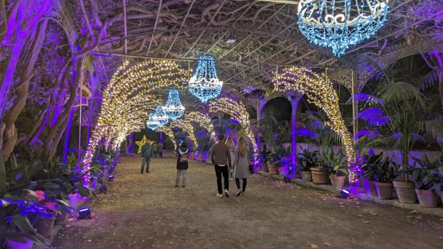 Imagen del espectáculo de luz y sonido del Jardín Botánico de la Concepción de Málaga.