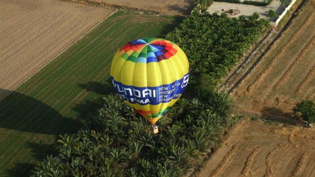 Un globo aerostático volando sobre Elche.