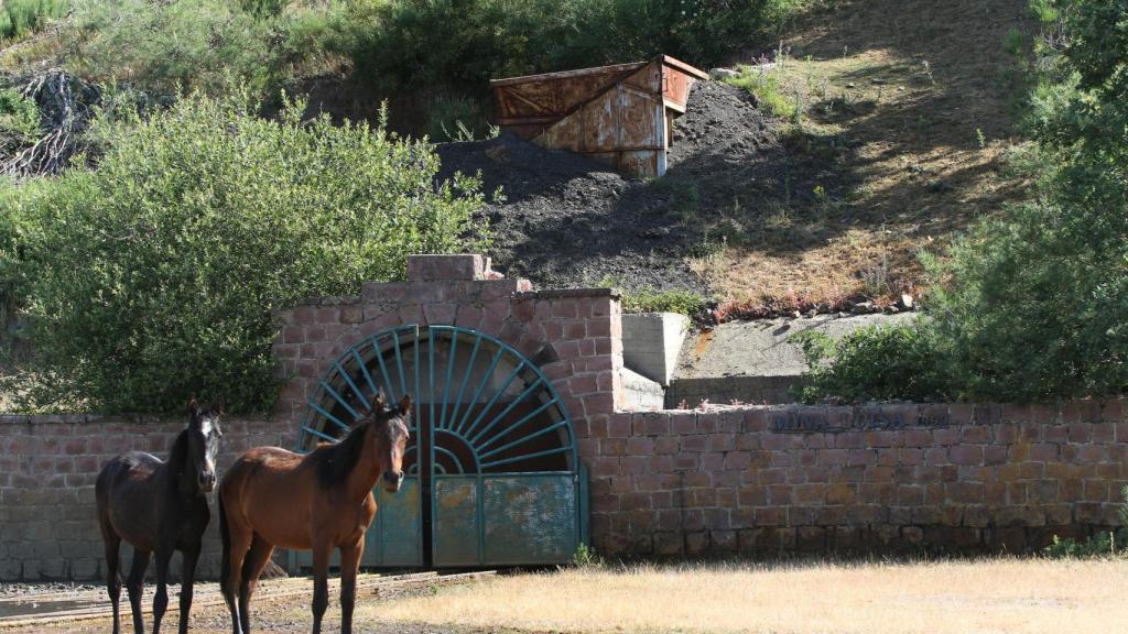 Mina Maria Luisa en Barruelo de Santullán