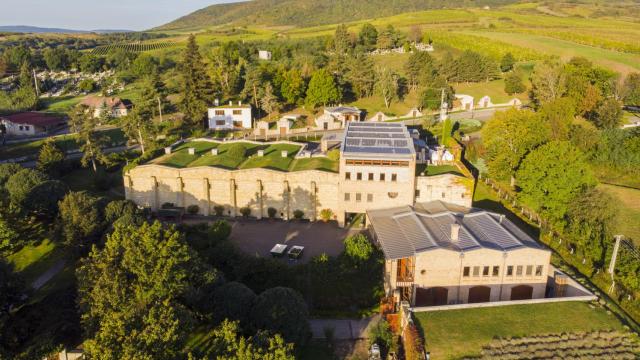 Vega Sicilia celebra el 30 aniversario de la compra de Oremus