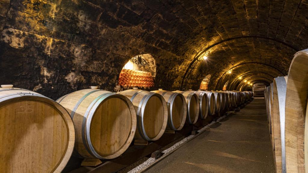 En interior de la bodega de Oremus