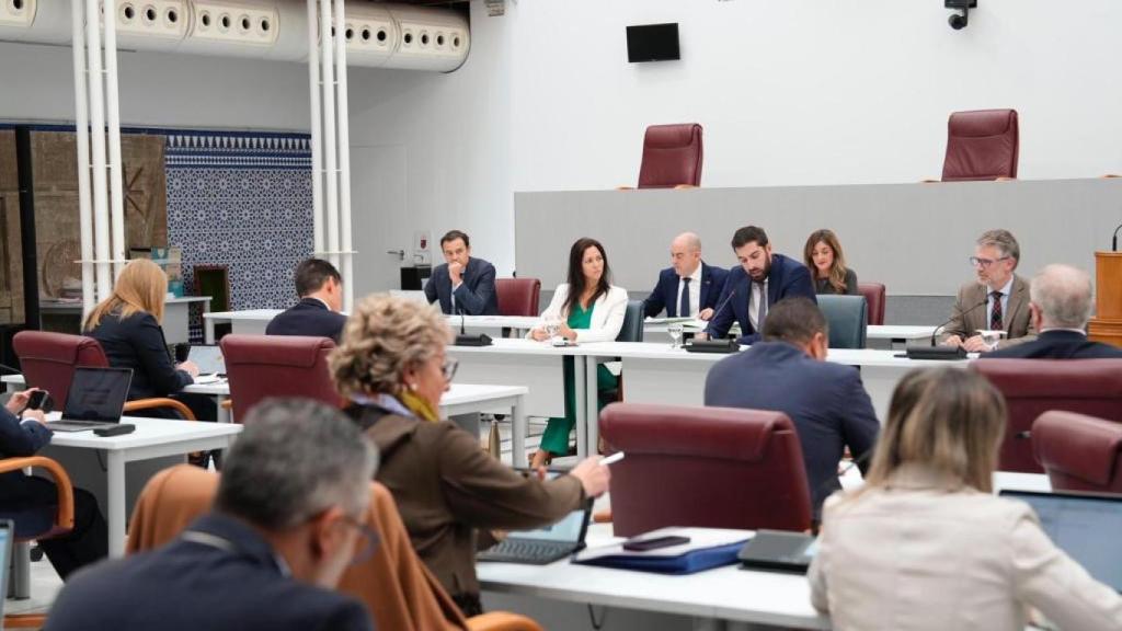 Antelo explicando los presupuestos de su consejería esta mañana en la Asamblea Regional.