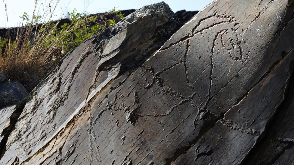 Un grabado en el yacimiento arqueológico de Siega Verde