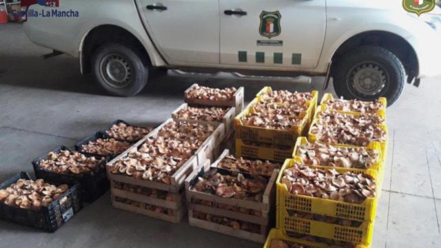 Cargamento de setas incautadas. Foto: Twitter @AAMM_JCCM.