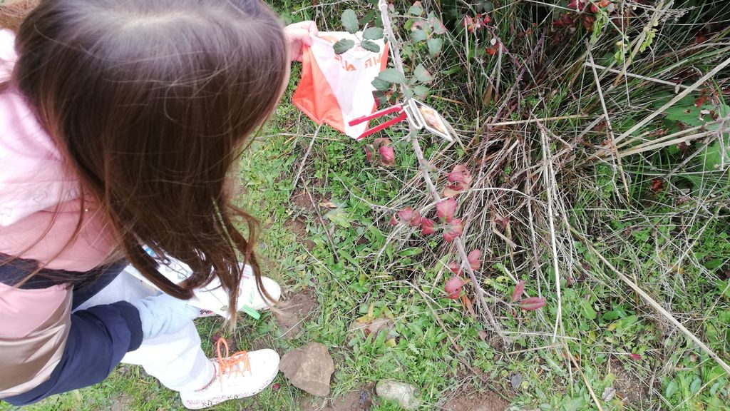 Una niña siguiendo uno de los recorridos diseñados