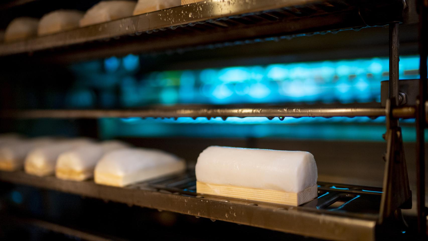 El alimento japonés milenario que ha revolucionado la gastronomía