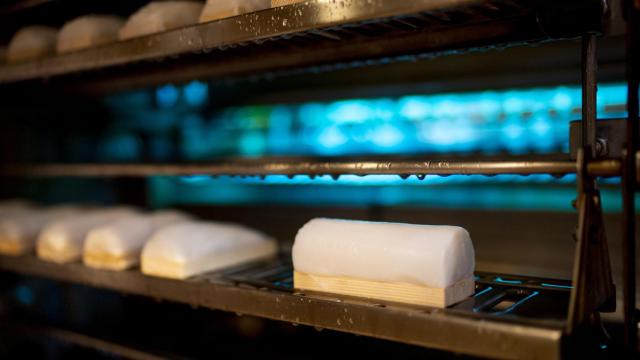El alimento japonés milenario que ha revolucionado la gastronomía