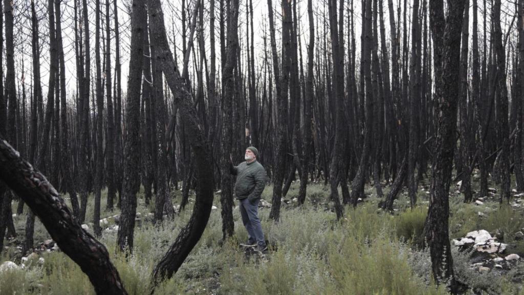 El chef apoyado en una de las zonas quemadas por los incendios
