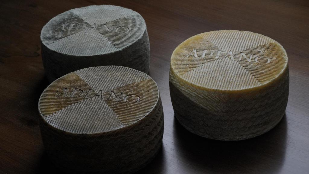 Tres tipos de queso ADIANO.