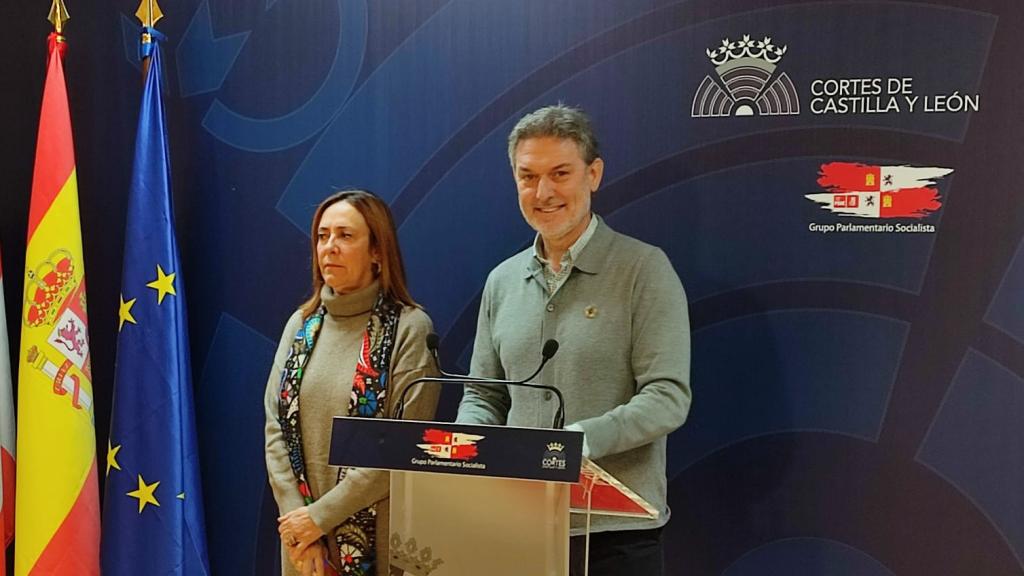 El portavoz de Medio Ambiente del Grupo Socialista, José Luis Vázquez, durante su rueda de prensa de este jueves en las Cortes.