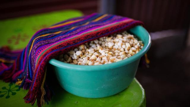 Maíz nixtamalizado.