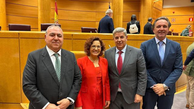 Parlamentarios del PP de Toledo