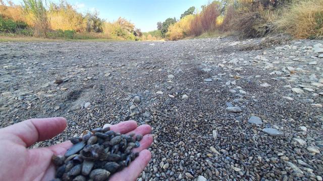 Situación del río Guadiaro.