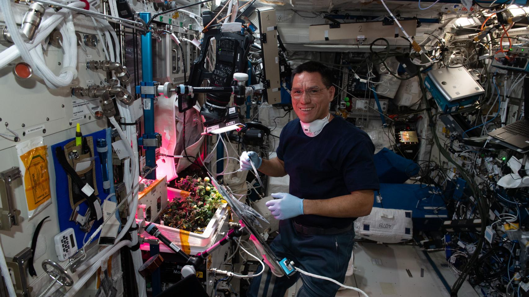 Astronauta Frank Rubio cultivando los tomates