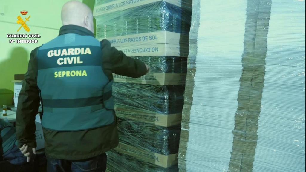 Aceite intervenido en la operación de la Guardia Civil